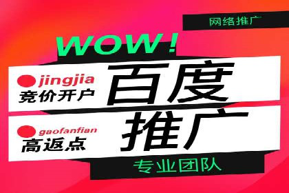 不同平台下的关键词竞价排名策略比较与案例分析